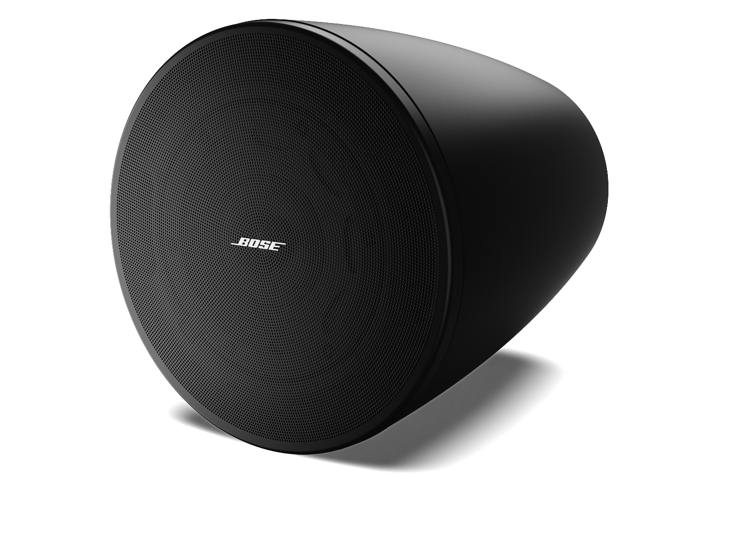 BOSE DM6PE 垂吊揚聲器（1 對）